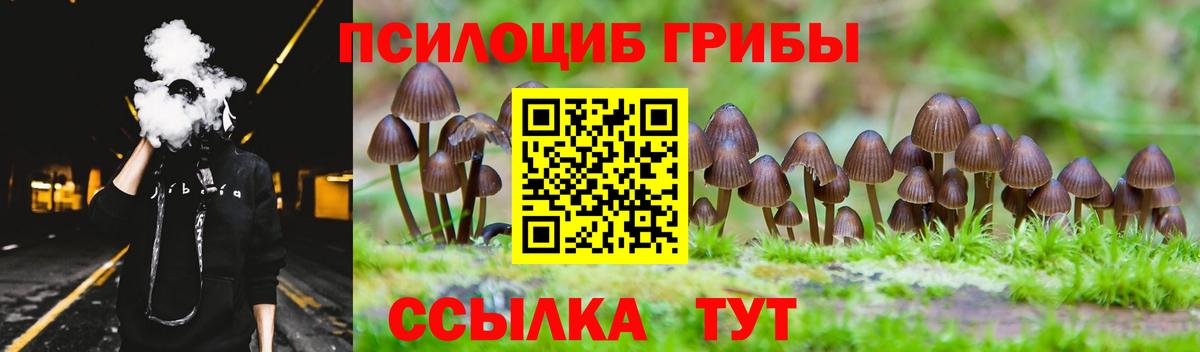 наркотики  Галлюциногенные грибы Psilocybine cubensis  Вход с VPN  Бийск 